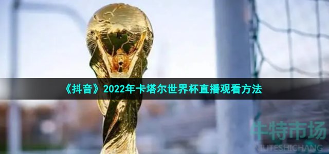 《抖音》2022年卡塔尔世界杯直播观看方法