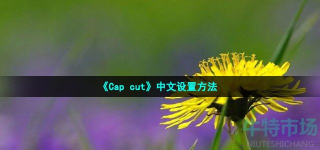 《Cap cut》中文设置方法