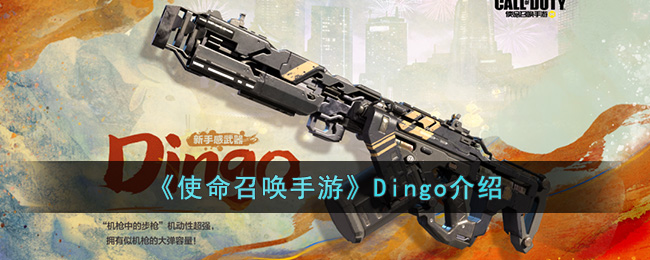 《使命召唤手游》Dingo介绍