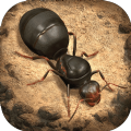 小小蚁国蚂蚁模拟器手机版下载,小小蚁国蚂蚁模拟器游戏官方手机版 v1.43.0