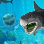 饥饿大白鲨手游安卓版下载-饥饿大白鲨3D海底模拟生存手游下载v1.0