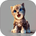 真实小猫3D模拟手游下载-真实小猫3D模拟最新安卓版手游下载v1.0
