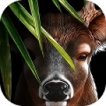 鹿的一生游戏下载-鹿的一生安卓版下载v1.0