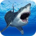 鲨鱼的恐怖袭击游戏下载-鲨鱼的恐怖袭击安卓版免费下载v1