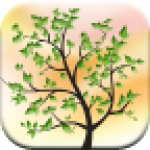 许愿树动态壁纸app下载-许愿树动态壁纸安卓版下载v1.0.15