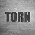 TORN撕裂之城手游下载-TORN撕裂之城免费安卓版下载v1.9.15